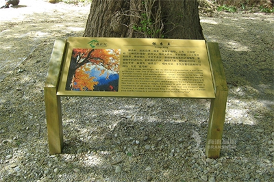 景區(qū)標(biāo)識(shí)設(shè)計(jì)如何保存自己的特性？